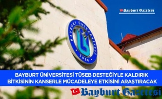 Bayburt Üniversitesi TÜSEB Desteğiyle Kaldirik Bitkisinin Kanserle Mücadeleye Etkisini Araştıracak